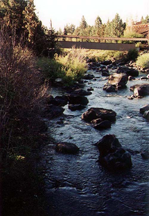 Riverhouse1