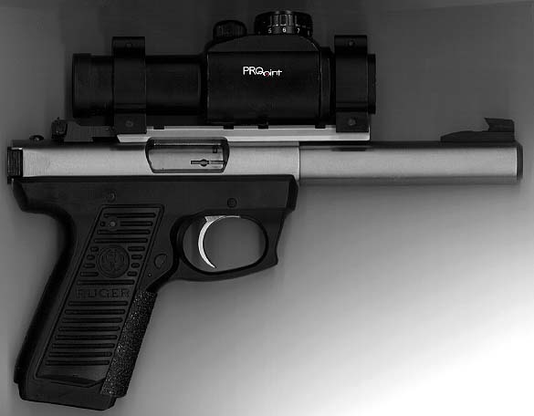 Ruger .22